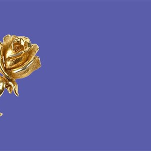 „Rosa aurea - Zlatna ruža“ i rimski prvosvećenici